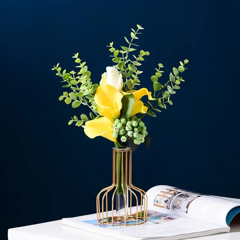 Trendy Metal Test Tube Propagation Vase with Stand