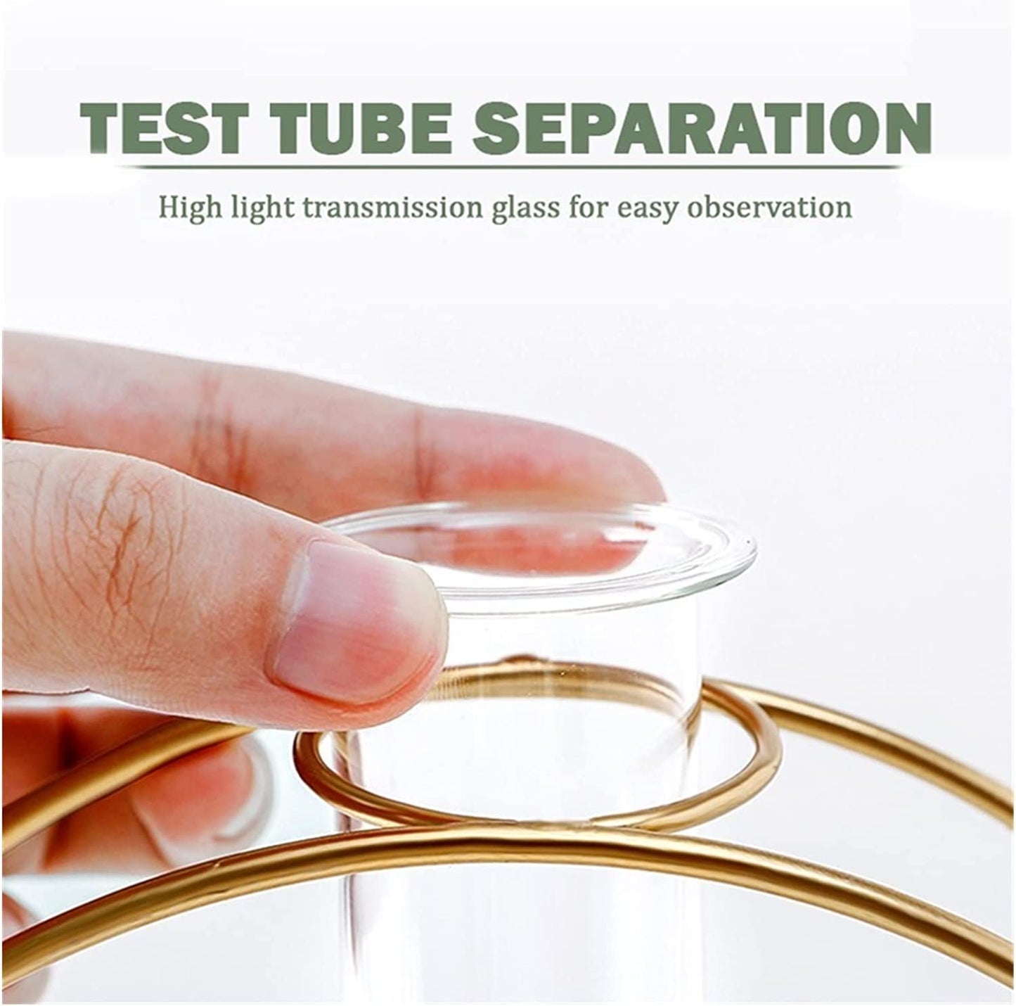 Trendy Metal Test Tube Propagation Vase with Stand